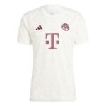 Bayern Munich 2023/2024 Third Jersey
